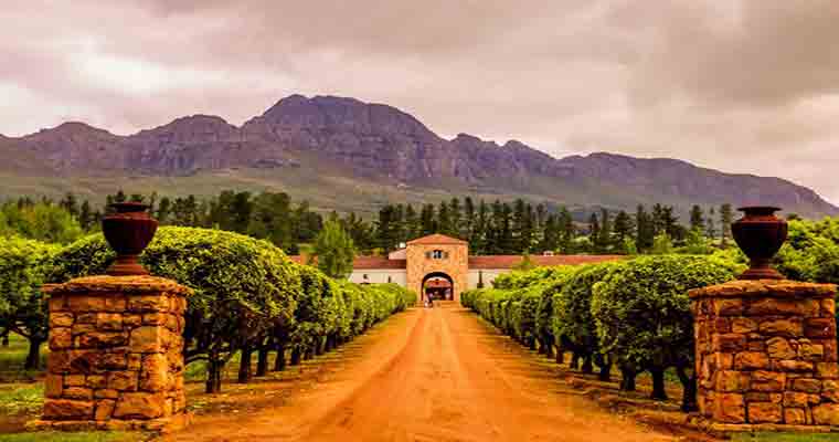 Waterford Winery