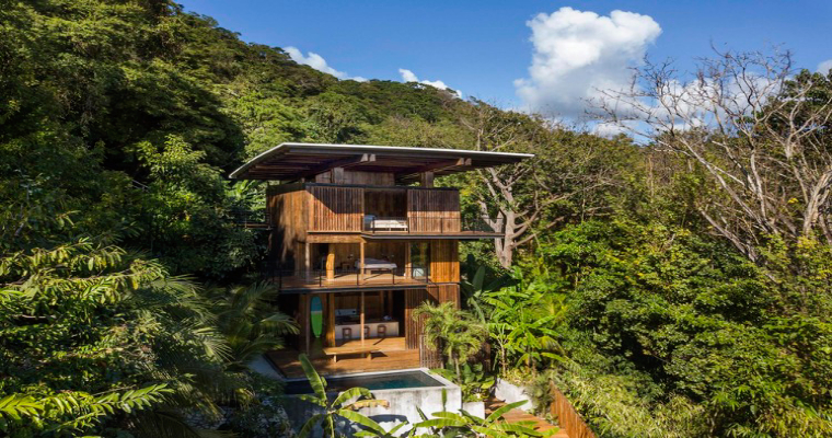 Tropical Jungle Dwelling
