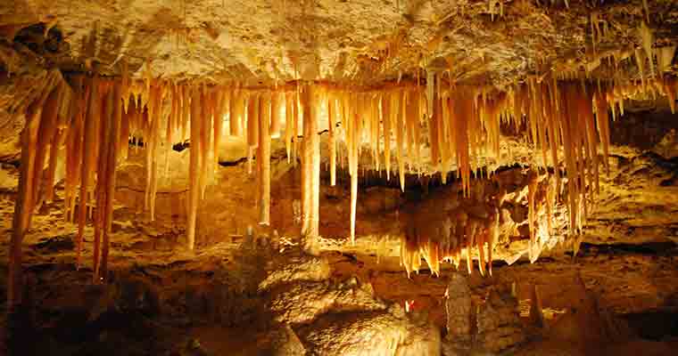 Naracoorte Caves