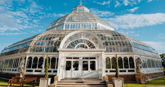 Palm House 
