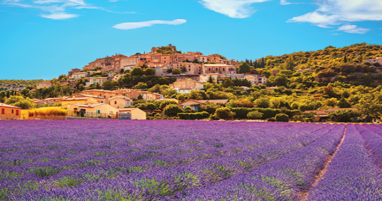 Lavender and spring flowers 
