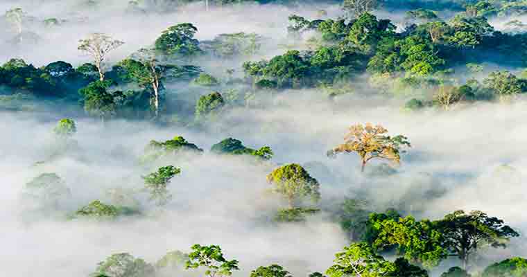 Danum Valley
