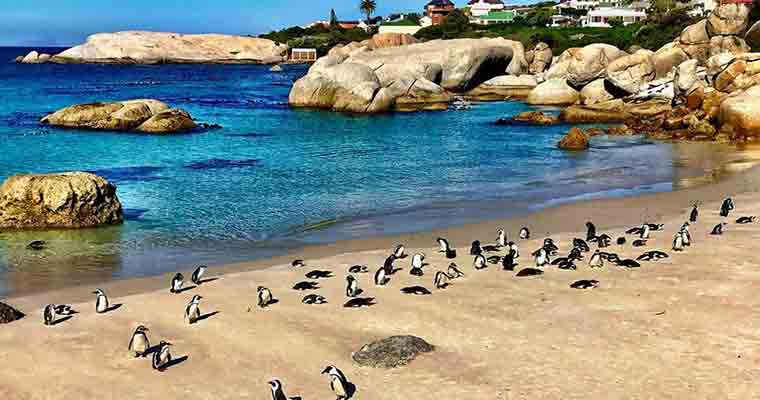 Boulders Beach