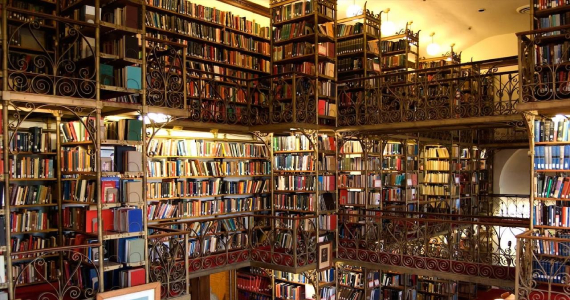 The university library inL