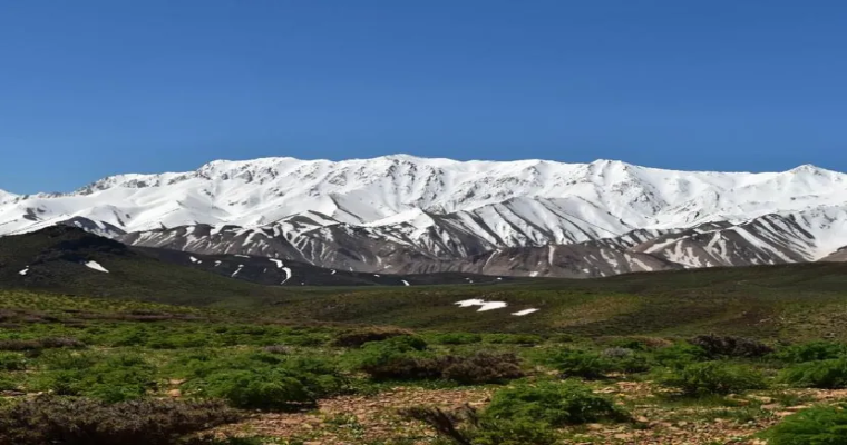 قالی کوه