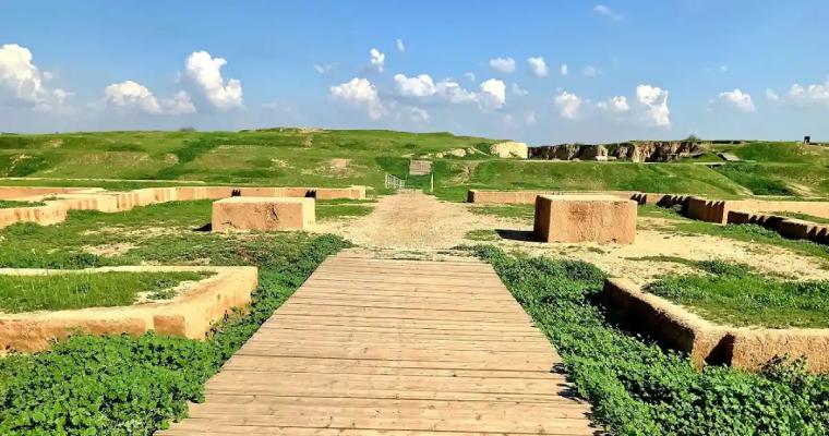 کاخ آپادانای شوش