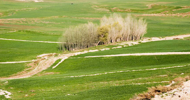 تونل کوهرنگ-2