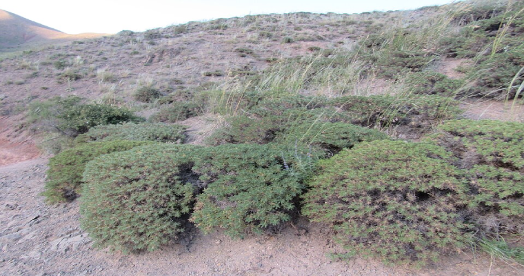 روستای زالی-2