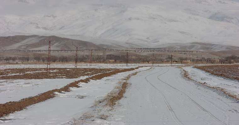 روستای زالی