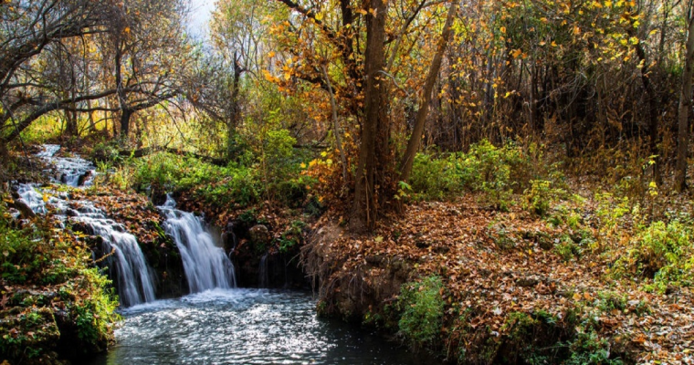 پارک ملی تندوره