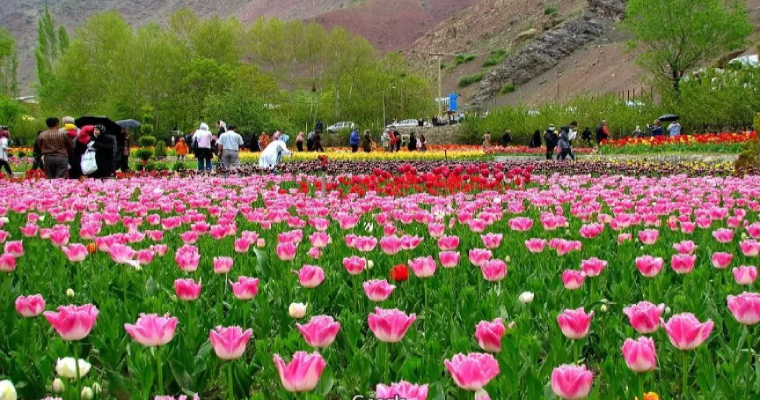 باغ لاله‌های گچسر