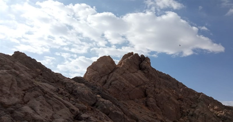 قله دنا-2