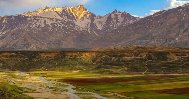 زردکوه-2